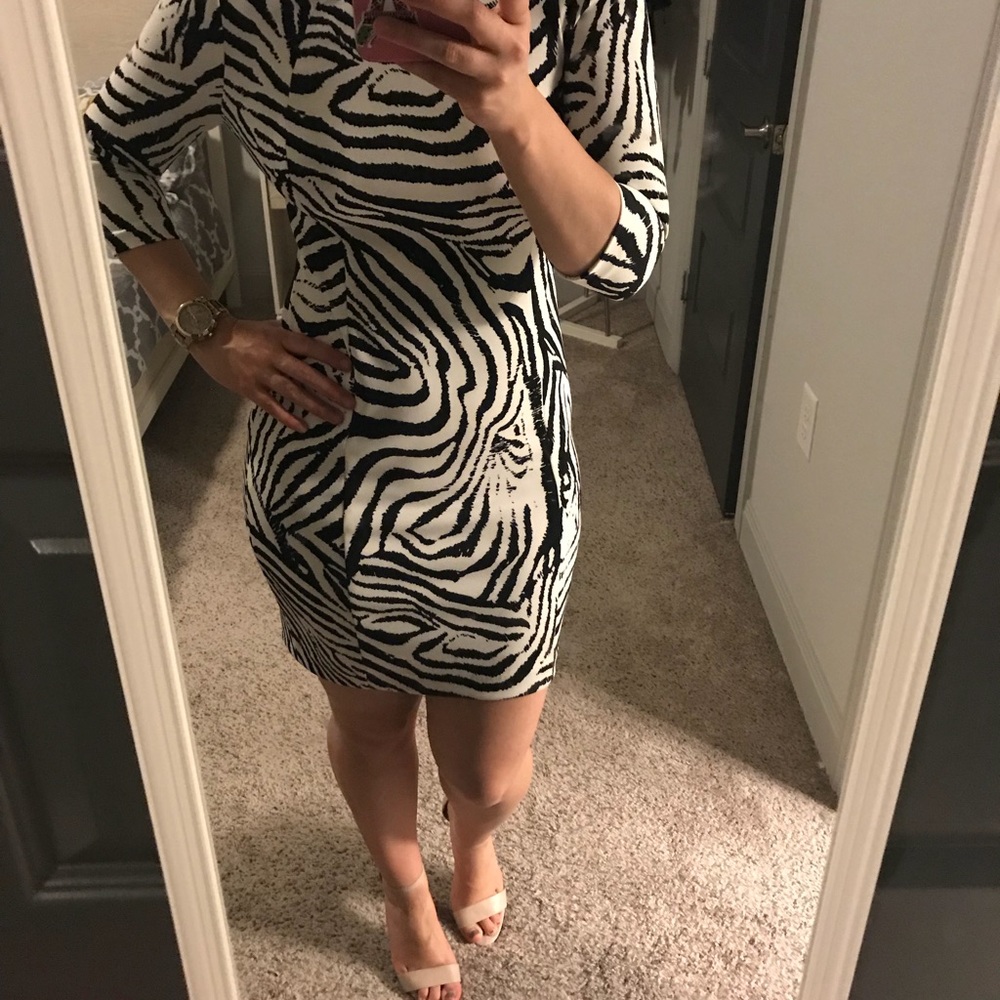 Zara zebra dress